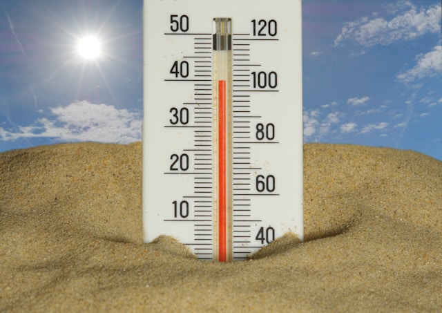 Data Science for Environmental Sustainability